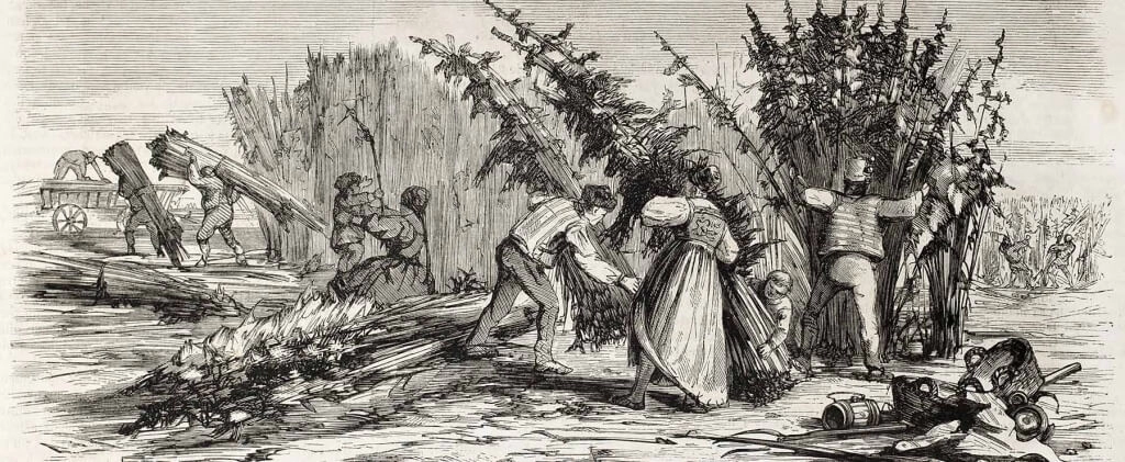 история конопли история конопли