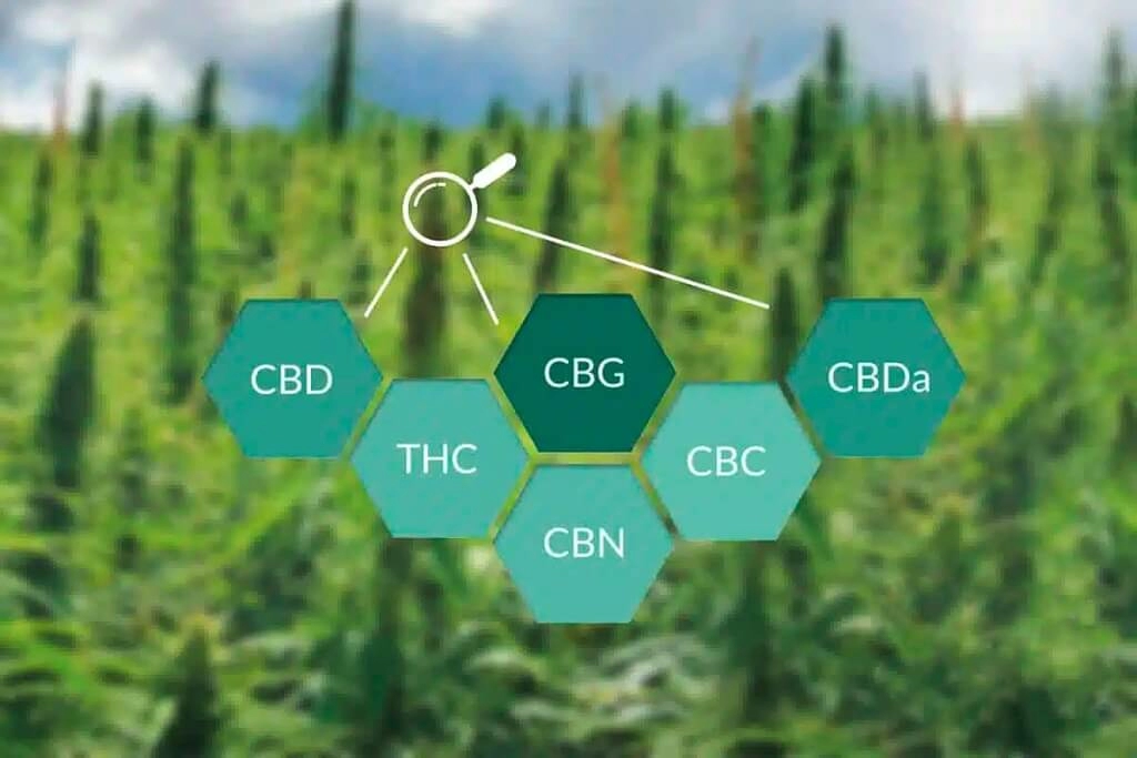 Каннабиноидные кислоты 